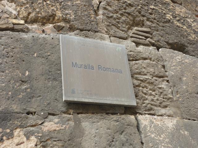P1000787.JPG