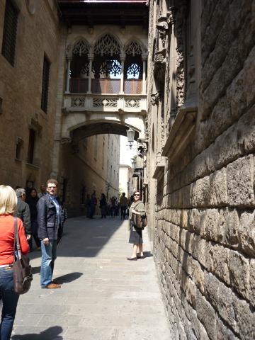 P1000798.JPG