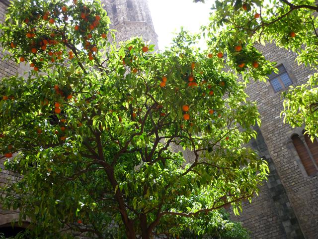 P1000808.JPG