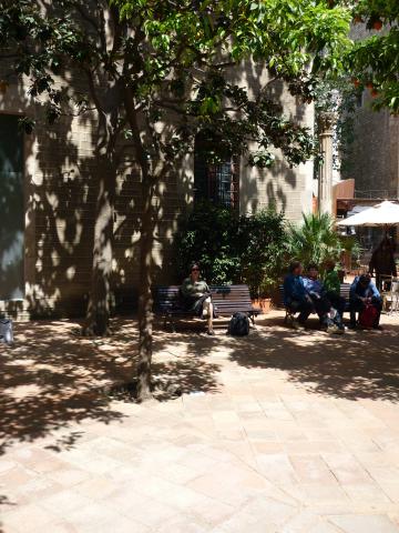 P1000810.JPG