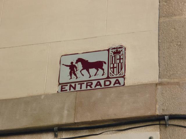 P1000813.JPG