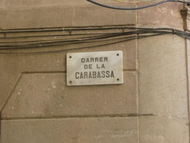 P1000817.JPG