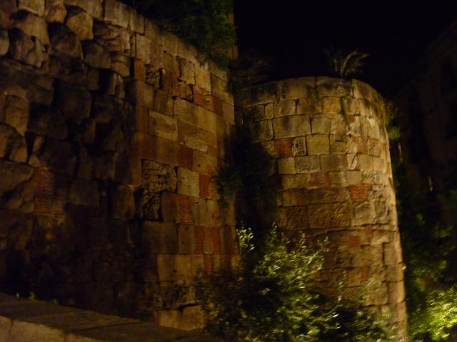 P1000823.JPG