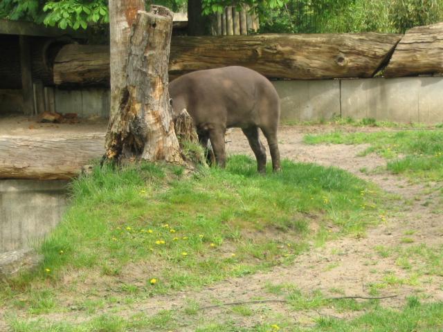 IMG_1762.JPG