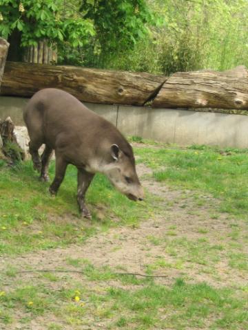 IMG_1763.JPG