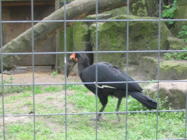 IMG_1765.JPG
