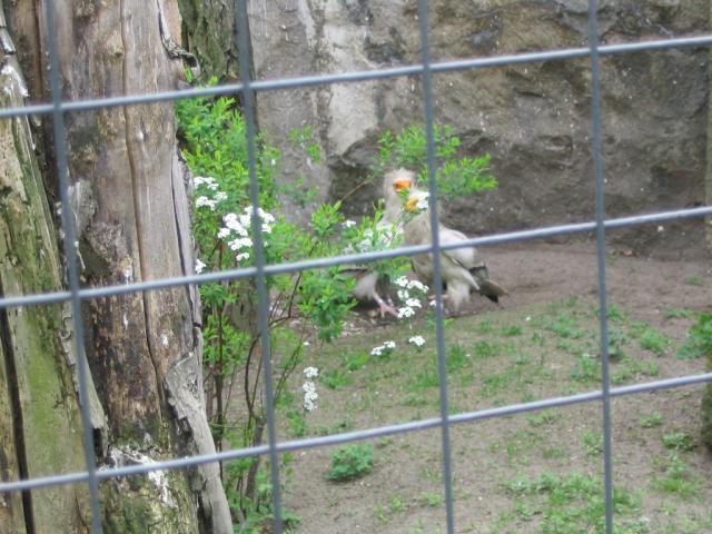 IMG_1766.JPG