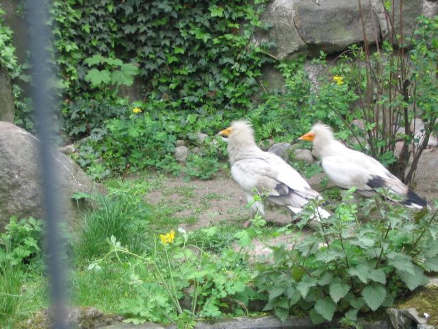 IMG_1767.JPG