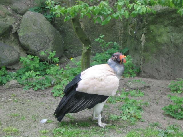 IMG_1768.JPG