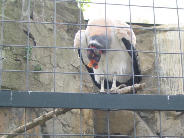 IMG_1769.JPG
