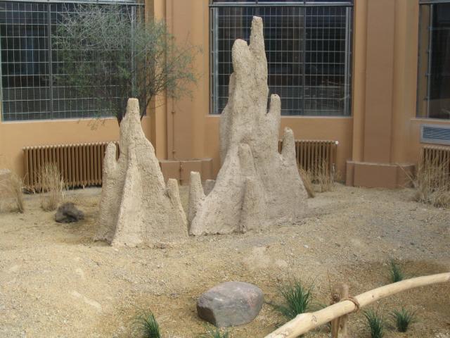 IMG_1774.JPG