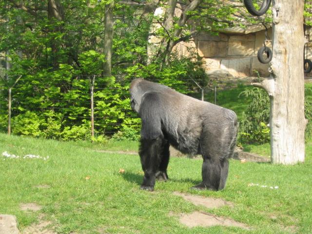 IMG_1808.JPG