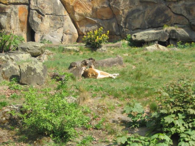 IMG_1815.JPG