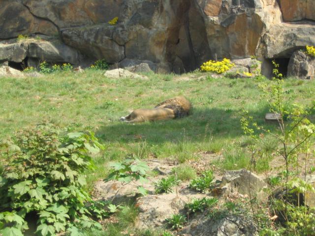 IMG_1816.JPG