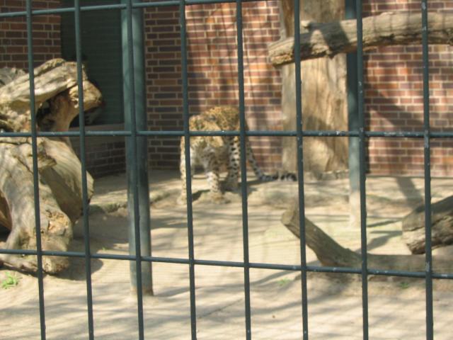 IMG_1820.JPG