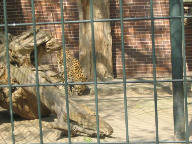 IMG_1821.JPG