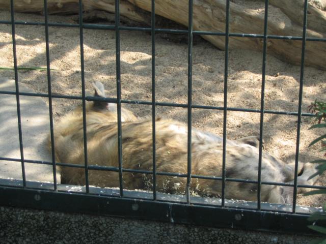 IMG_1824.JPG