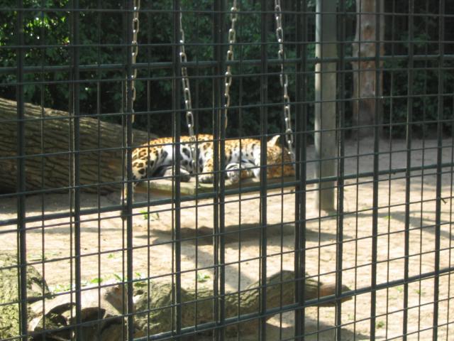 IMG_1826.JPG