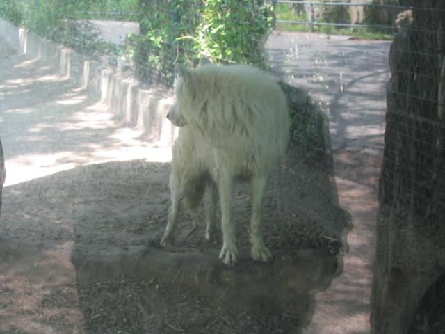 IMG_1827.JPG