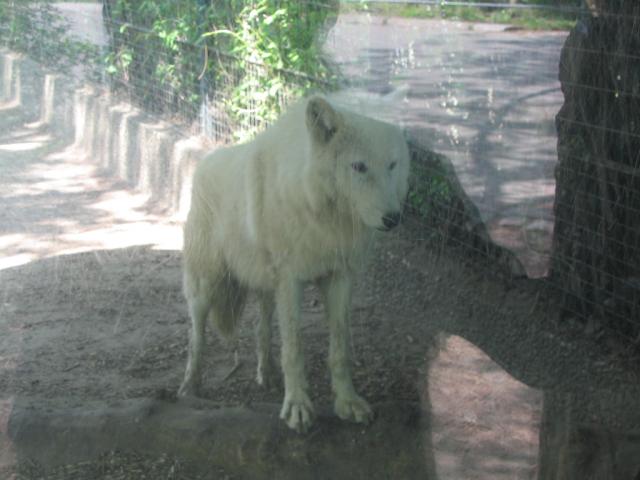 IMG_1828.JPG