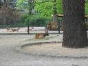 IMG_1775.JPG