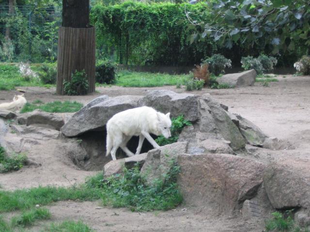 IMG_3943.JPG