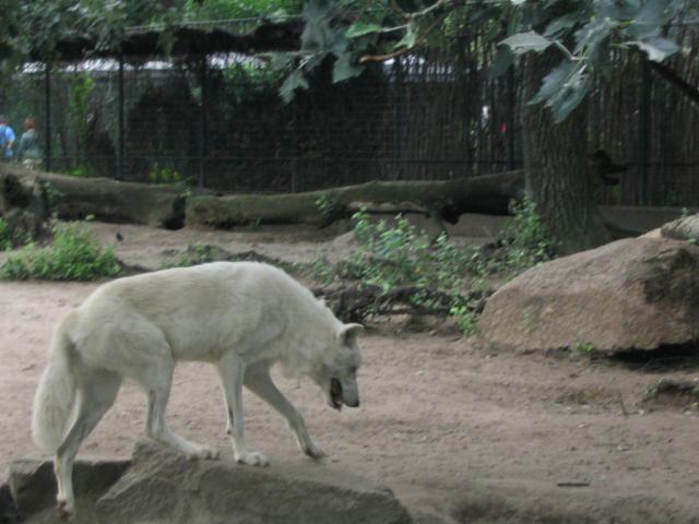 IMG_3945.JPG