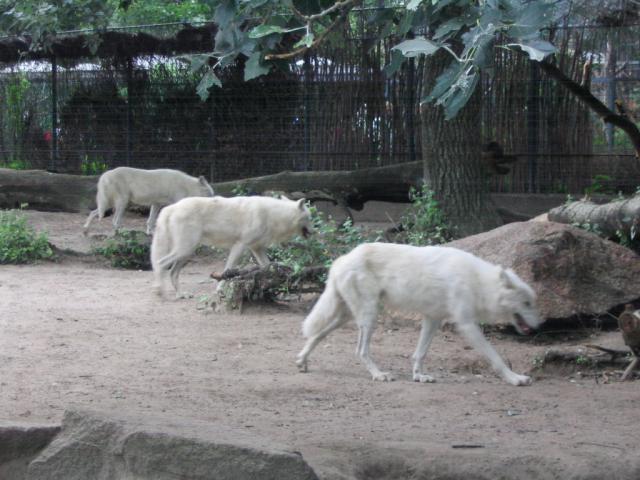 IMG_3948.JPG