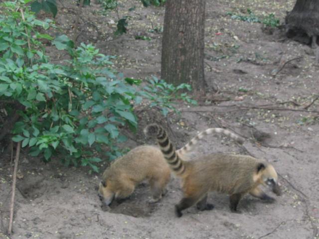 IMG_3951.JPG