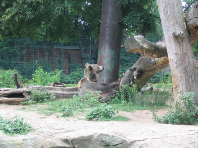 IMG_3953.JPG