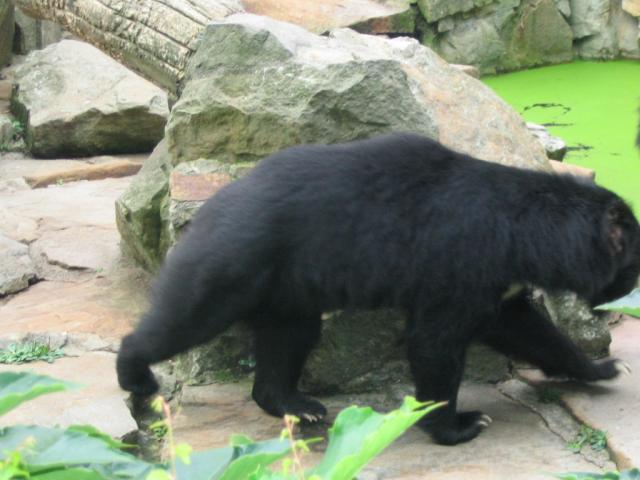 IMG_3962.JPG
