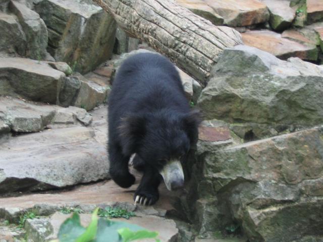 IMG_3964.JPG