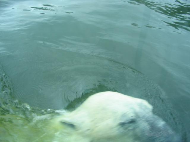 IMG_3978.JPG
