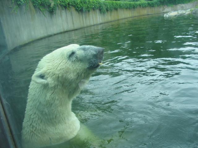 IMG_3984.JPG