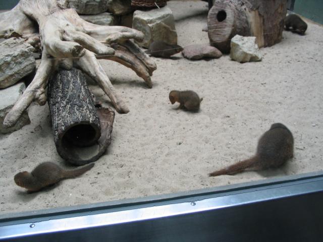 IMG_4002.JPG