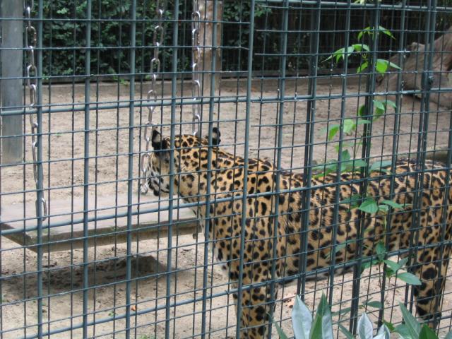 IMG_4019.JPG
