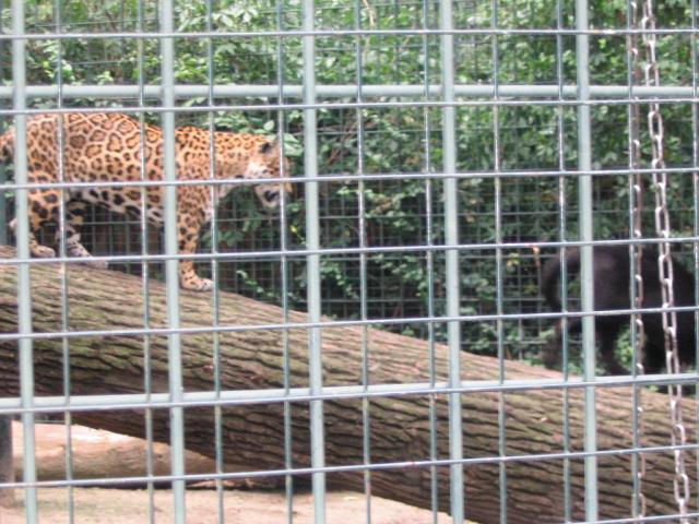 IMG_4026.JPG