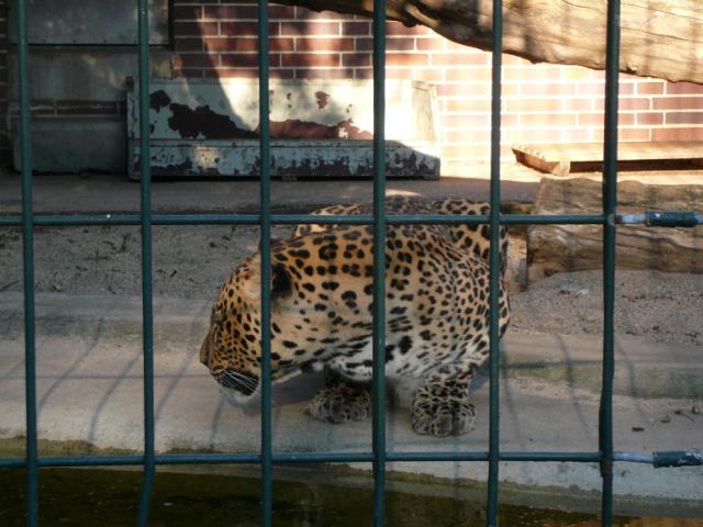 p1000973.jpg