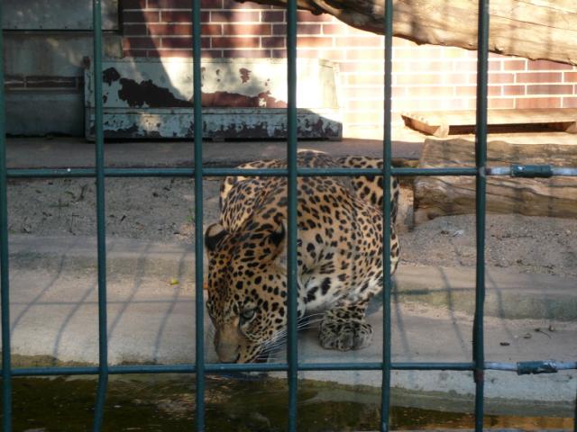 p1000975.jpg