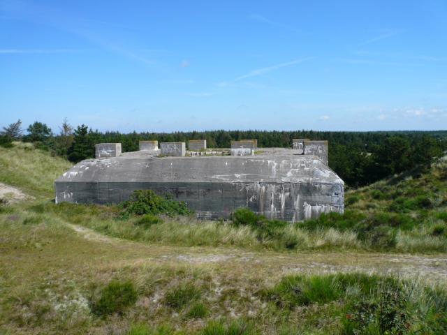p1000770.jpg