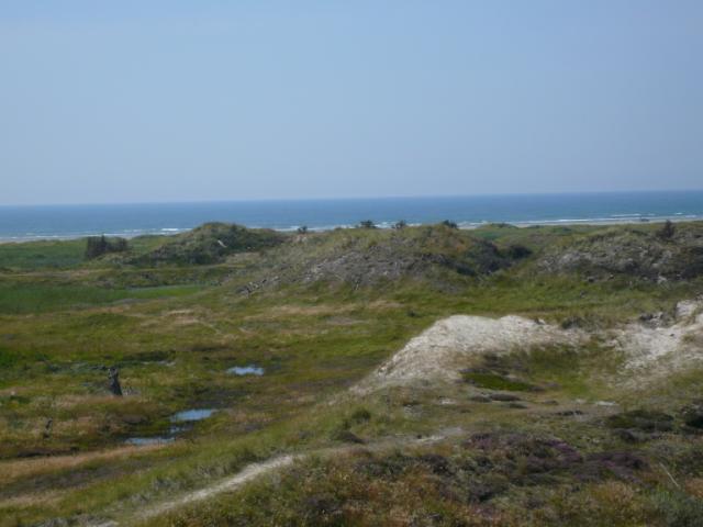 p1000779.jpg