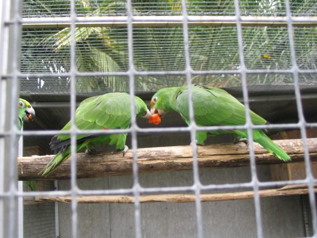 IMG_3416.JPG