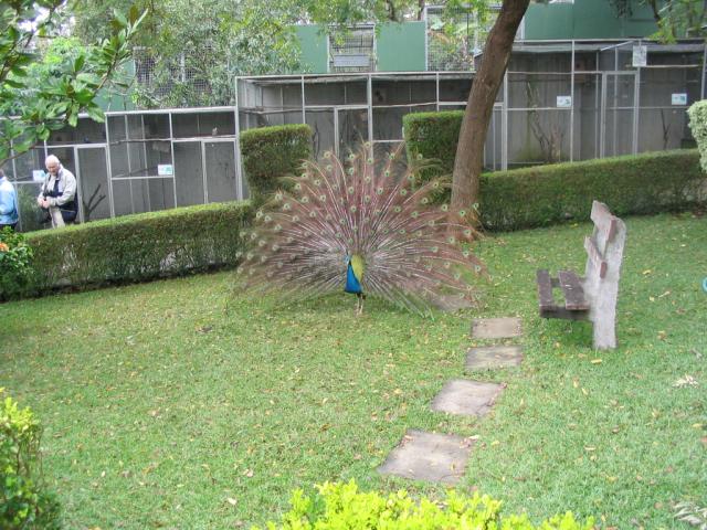 IMG_3418.JPG