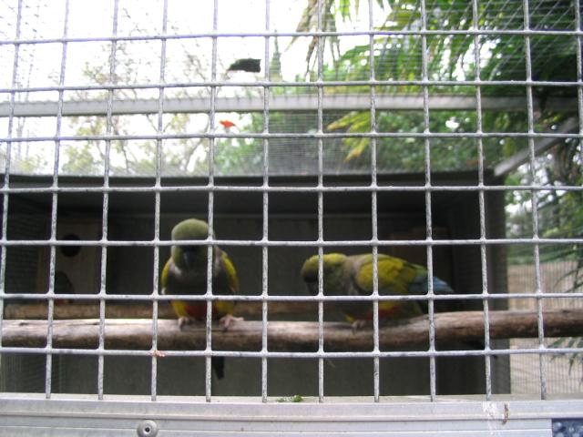 IMG_3423.JPG