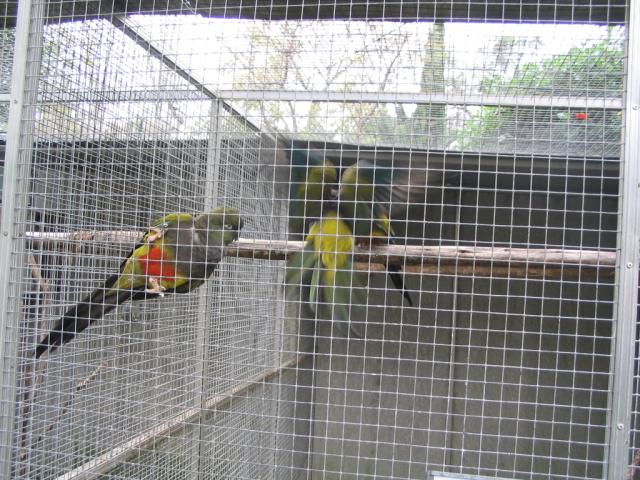 IMG_3425.JPG