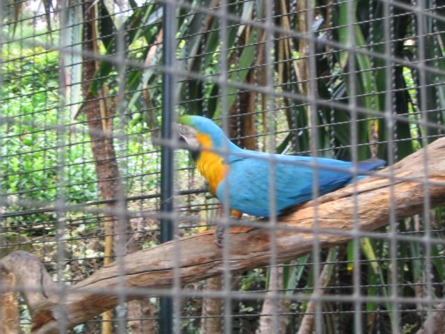 IMG_3430.JPG
