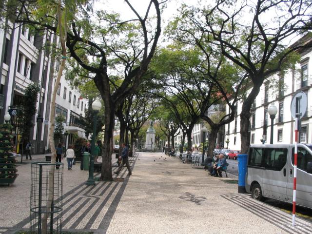 IMG_3443.JPG