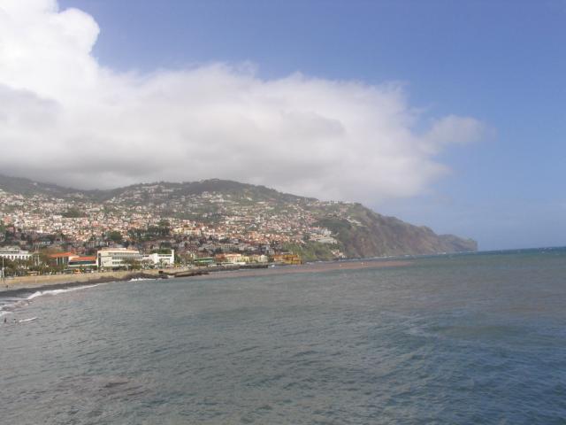 IMG_3451.JPG