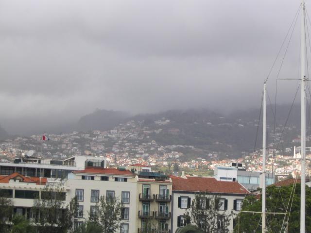 IMG_3456.JPG
