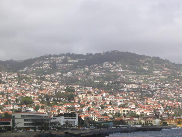 IMG_3462.JPG